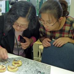 (28. April 2017) - Der gute Ruf der dualen Ausbildung…